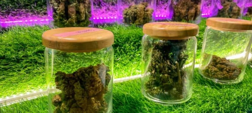 Elektronická cigareta jednorázová: Jak vybrat nejlepší jednorázovou elektronickou cigaretu na trhu